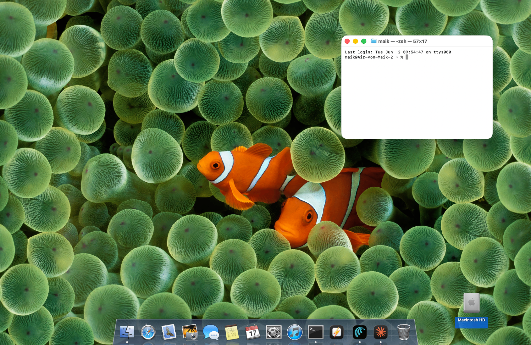 Snow Leopard theme